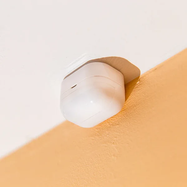 Shelly_BLU_motion_Interior